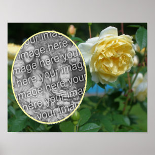Gul ros Flower Ram Skapar ditt eget foto Poster