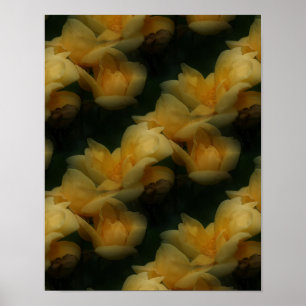 Gul ros Flowers Nature Art Mönster Poster