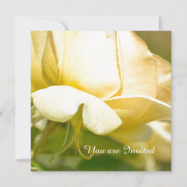 Gul ros födelsedag inbjudningar