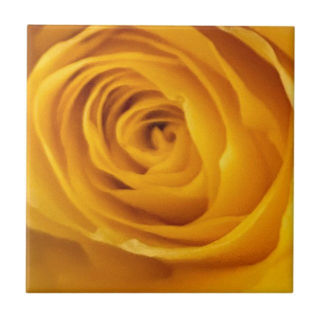 Gul ros fotopanel kakelplatta (Framsidan)