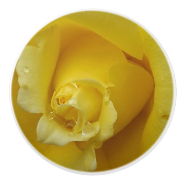 Gul ros keramisk pull knopp (Framsidan)