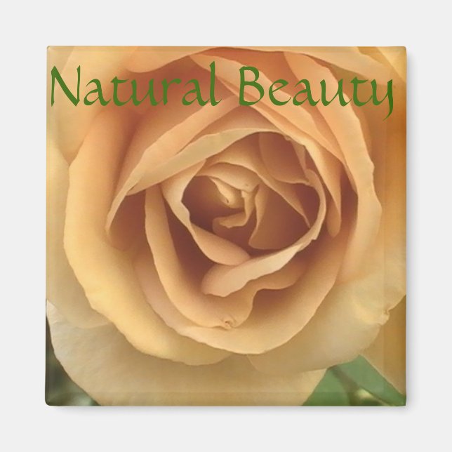 Gul ros Magnet (Framsidan)