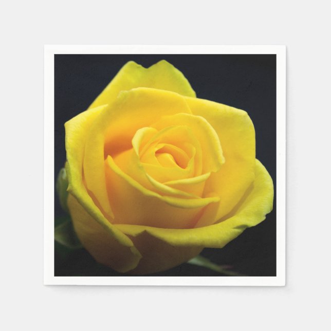 Gul ros Napkins Pappersservett (Framsidan)