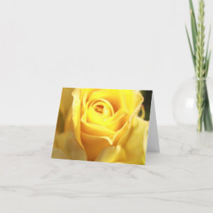 Gul ros Notecards Kort