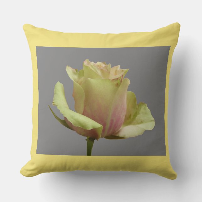 Gul ros på Grått + Cust. Pillow gräns Färg Kudde (Framsida)