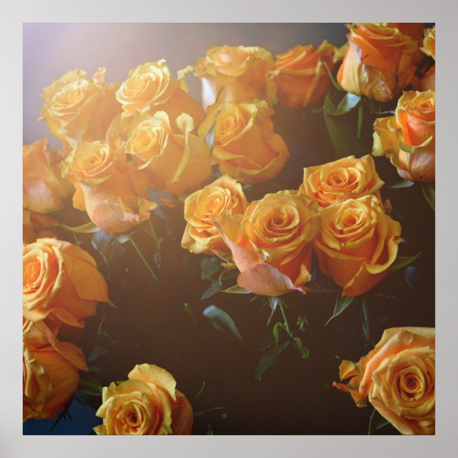 Gul ros poster (Framsidan)