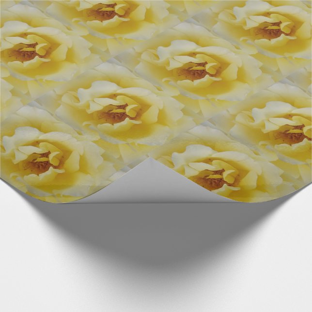 Gul ros presentpapper (Hörn)