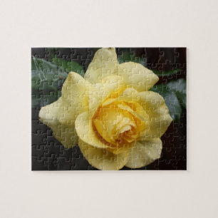 gul ros Puzzle Pussel