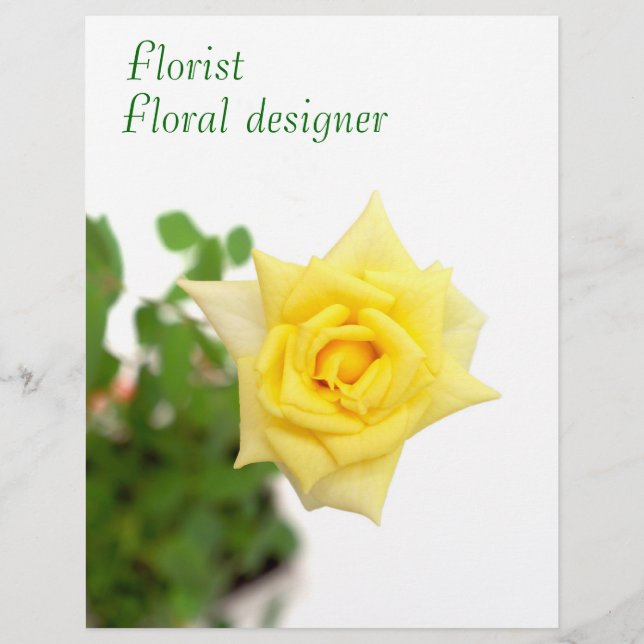 Gul ros reklamblad (Framsidan)