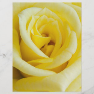 Gul ros reklamblad