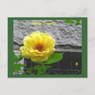 GUL ROS VÄNSKAP POSTCARD VYKORT