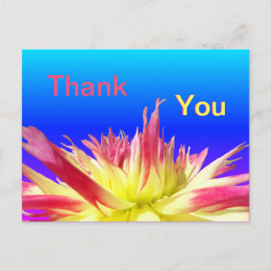 Gul Rosa Dahlia Blå TACK Postkort Vykort