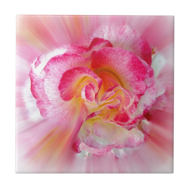 gul rosa ros kakelplatta (Framsidan)