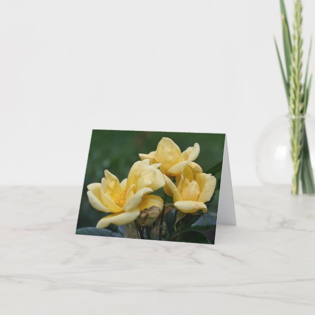 Gul rosbuds blommfotografering  anteckningskort (Framsida)