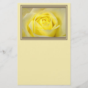 Gul rosCloseup Brevpapper