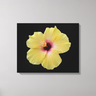 Gul slågen in kanfas för hibiskus blomma canvastryck