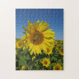 gul sol blomman sommar blomning pussel