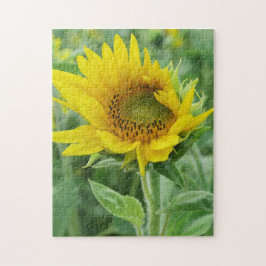 gul sol blomman sommar blomning pussel