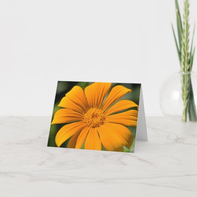Gul solskenblomma Notecard Kort (Framsida)