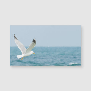 Gul som flyger över havet