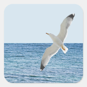 Gul som flyger över havet fyrkantigt klistermärke