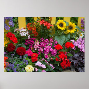 Gul staket med blomsterträdgård i poster