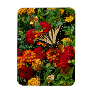 gul svalstjärtfjäril orange & röda blommor magnet