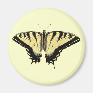 Gul Swallowtail ~-magnet Magnet