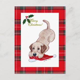 Gul Tartan för Labrador julSanta hatt Helg Vykort