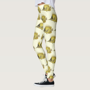 Gul Tropisk Chelmon Longirostris, gammal fisk Leggings