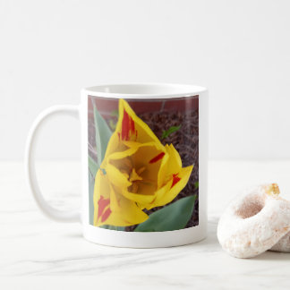 Gul Tulpan Kaffemugg