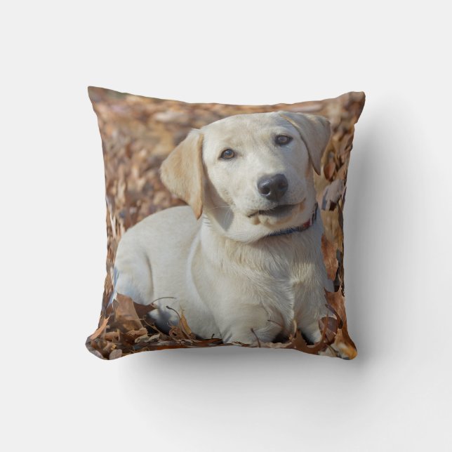 Gul valp för Labrador Retriever Kudde (Framsida)