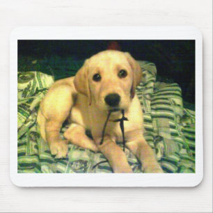 gul valp för labrador retriever musmatta