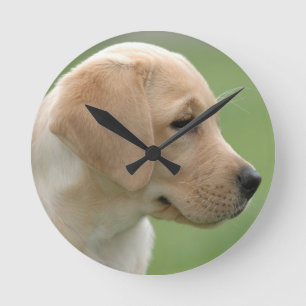 Gul valp för labrador retriever rund klocka