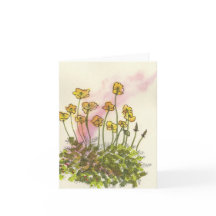 Gul Vild Vallmoblomkort