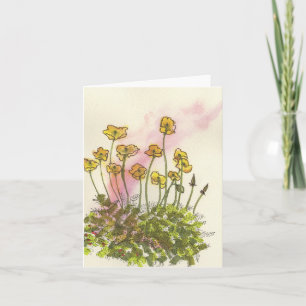 Gul Vild Vallmoblomkort Tack Kort
