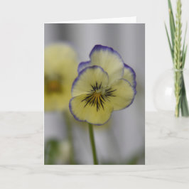 Gul & Violett Stilla - Foto – Vintage Cottagecore Kort