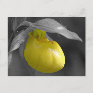 Gul vykort för blommigt för vit för svart för