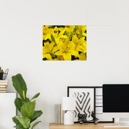 Gula asiatiska liljor blomfotografi poster