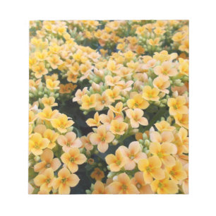 Gula blommor anteckningsblock