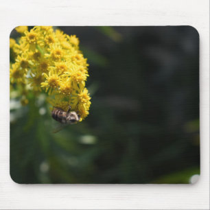 Gula blommor Bumblebees naturfotografi Musmatta