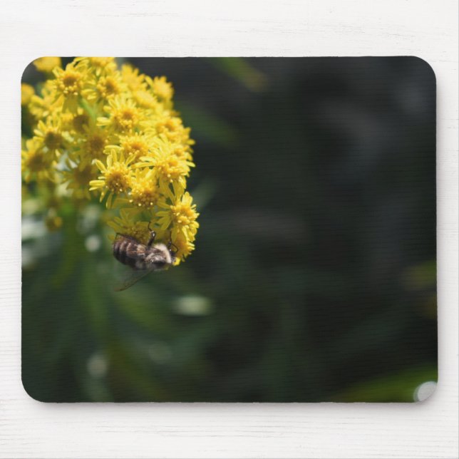 Gula blommor Bumblebees naturfotografi Musmatta (Framsidan)