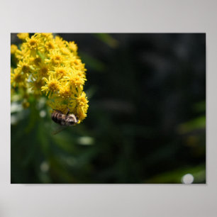 Gula blommor Bumblebees naturfotografi Poster