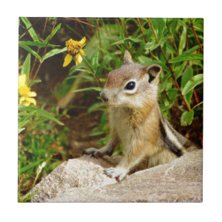 Gula blommor Chipmunk Kakelplatta