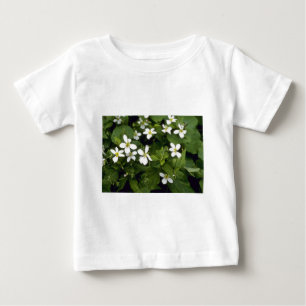 Gula blommor för vitViolet (violaen Canadensis) T Shirt