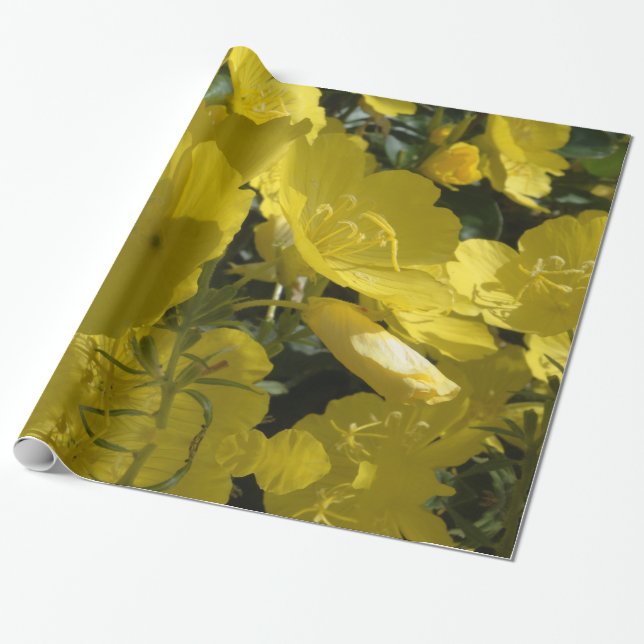Gula blommor-foto, sommartid, Papper radbrytning Presentpapper (Utrullad)