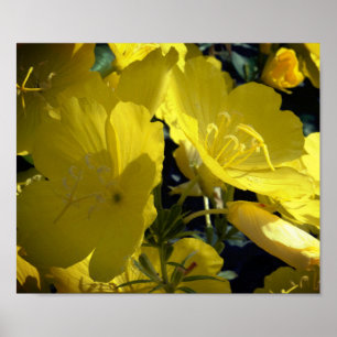 Gula blommor-foto, Summertime Poster Papper