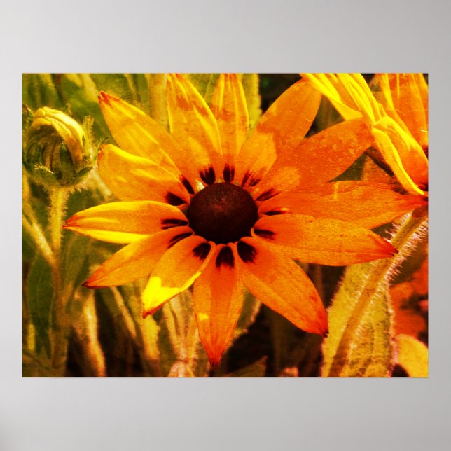 Gula Blommor Foto Värde Affisch Papper (Framsidan)