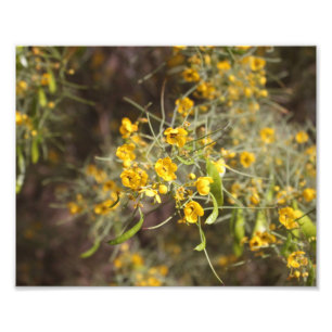 Gula blommor fotoutskrift fototryck