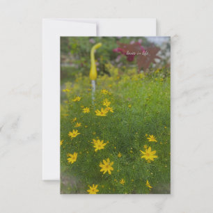 Gula blommor & Garden Decor Anteckningskort